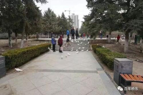 张家口公园爆料视频,揭秘公园里的惊人秘密