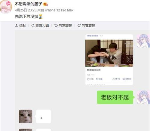 小虎爆料视频大全,揭秘娱乐圈幕后故事  第3张