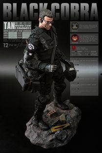 代号眼镜蛇在线观看,揭秘神秘特工的惊险任务  第2张